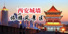 wwwhuangse中国陕西-西安城墙旅游风景区