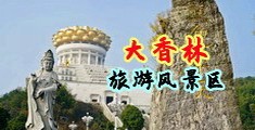 小骚b艹死你视频中国浙江-绍兴大香林旅游风景区